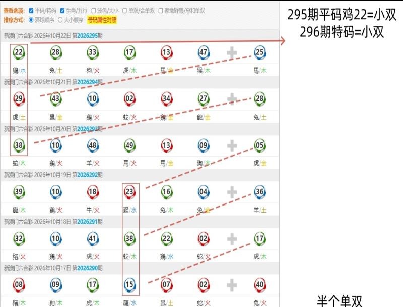 规律04