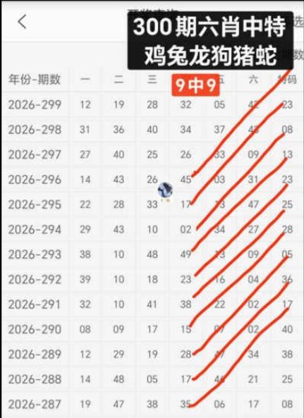 规律04