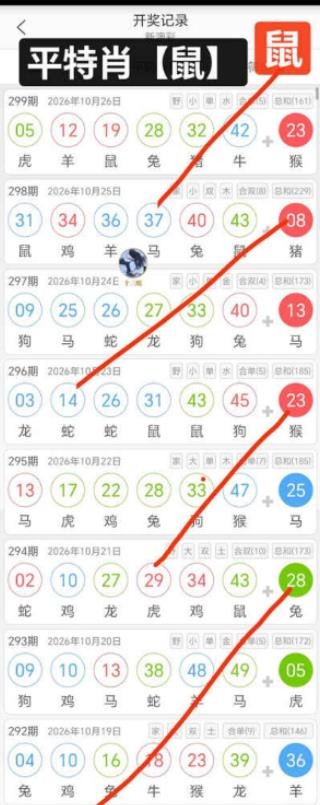 规律03