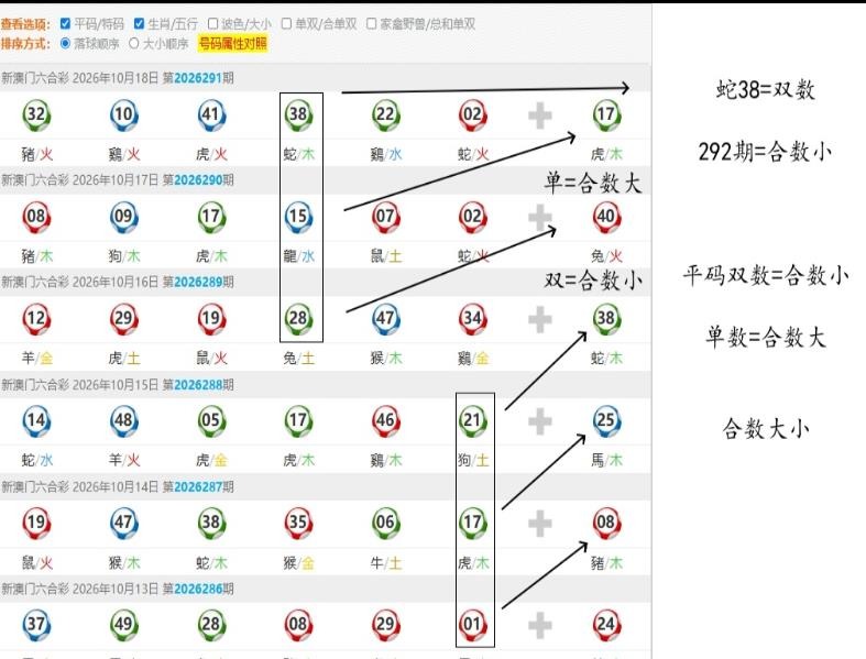 规律08