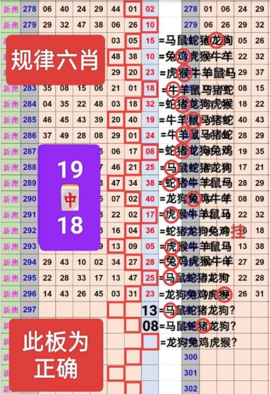 规律04